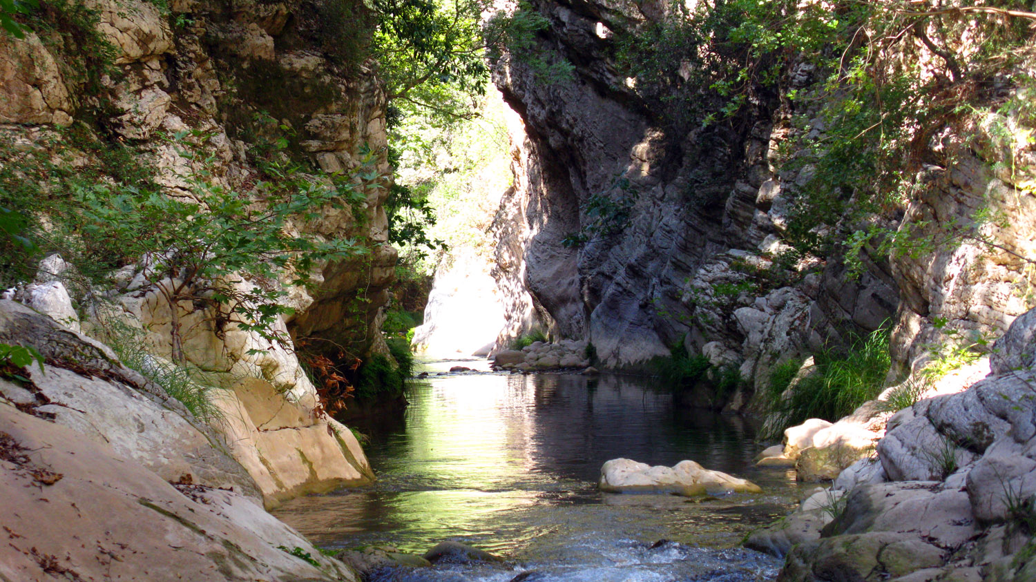 Φαράγγι Νέδας