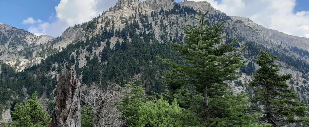 Χελμός - Κορυφή Μαγέρου