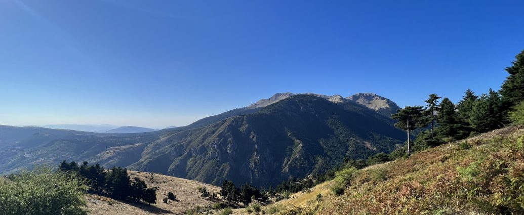 Φλαμπουρίτσα