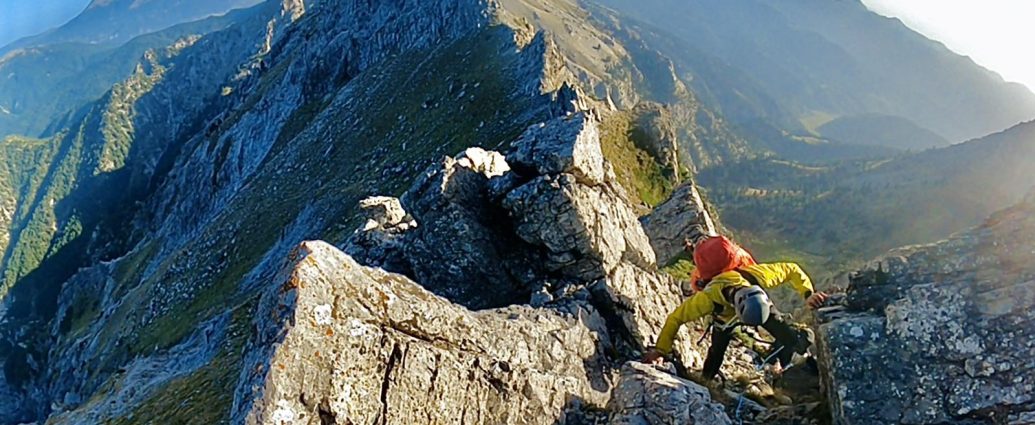 Χτένια Χελμού