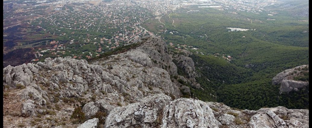 Φλαμπούρι - Κόψη