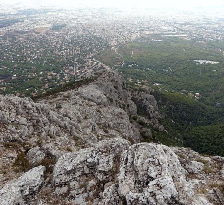 Φλαμπούρι - Κόψη