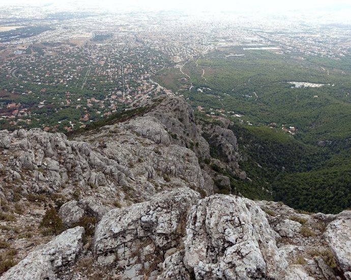 Φλαμπούρι - Κόψη