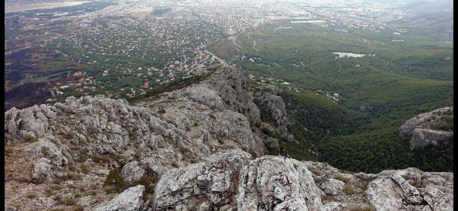 Φλαμπούρι - Κόψη