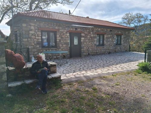 ελατοφυτο_χελμός_πλανητέρο_3_d