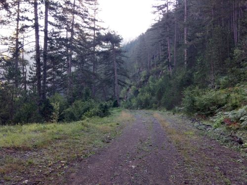 βάλια καλντα