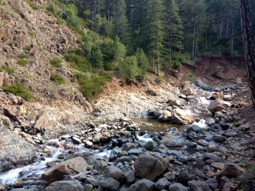 βαλια καλντα αρκουδόρεμα