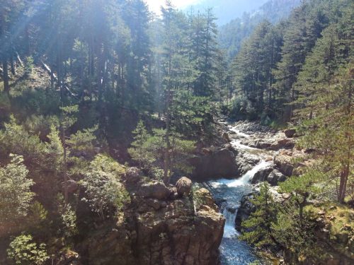 βαλια καλντα αρκουδόρεμα 2