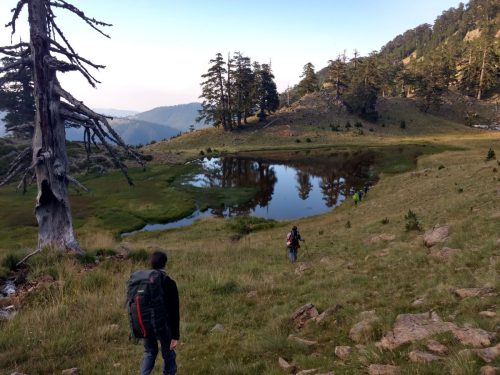 λίμνη φλέγγα