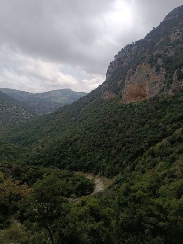 λεπίδα4