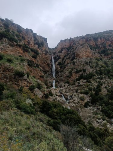 λεπίδα6