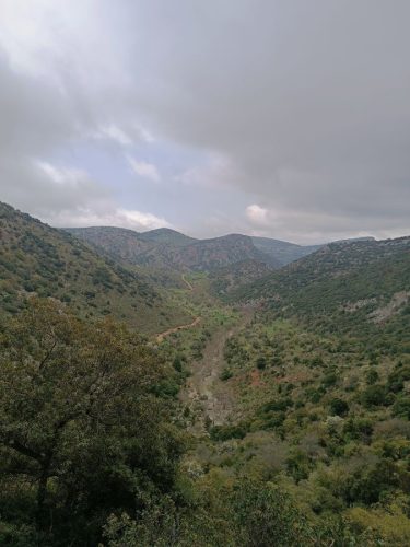 λεπίδα7