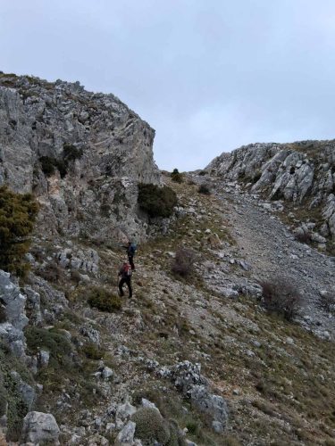τυριάς πετρίτης 1
