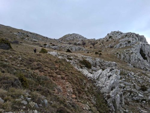 τυριάς πετρίτης 2