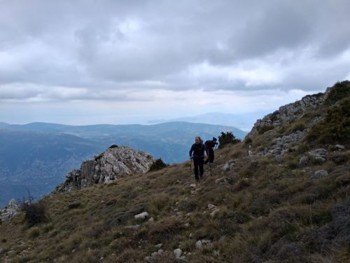 τυριάς πετρίτης 3