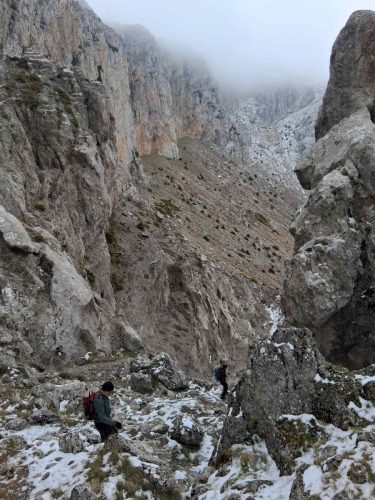 τυριάς πετρίτης 4