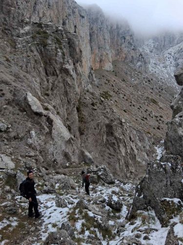 τυριάς πετρίτης 5
