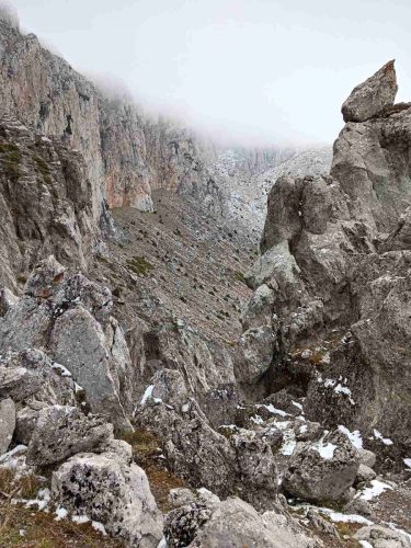 τυριάς πετρίτης 6