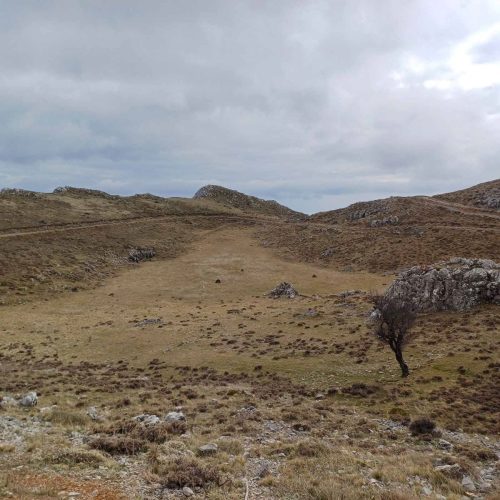 τυριάς πετρίτης 7