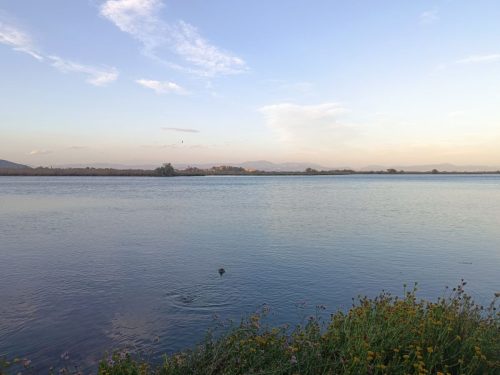 υγρότοπος μουστού 0